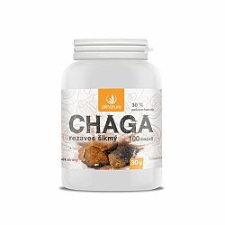 Allnature Chaga 100 kapsúl